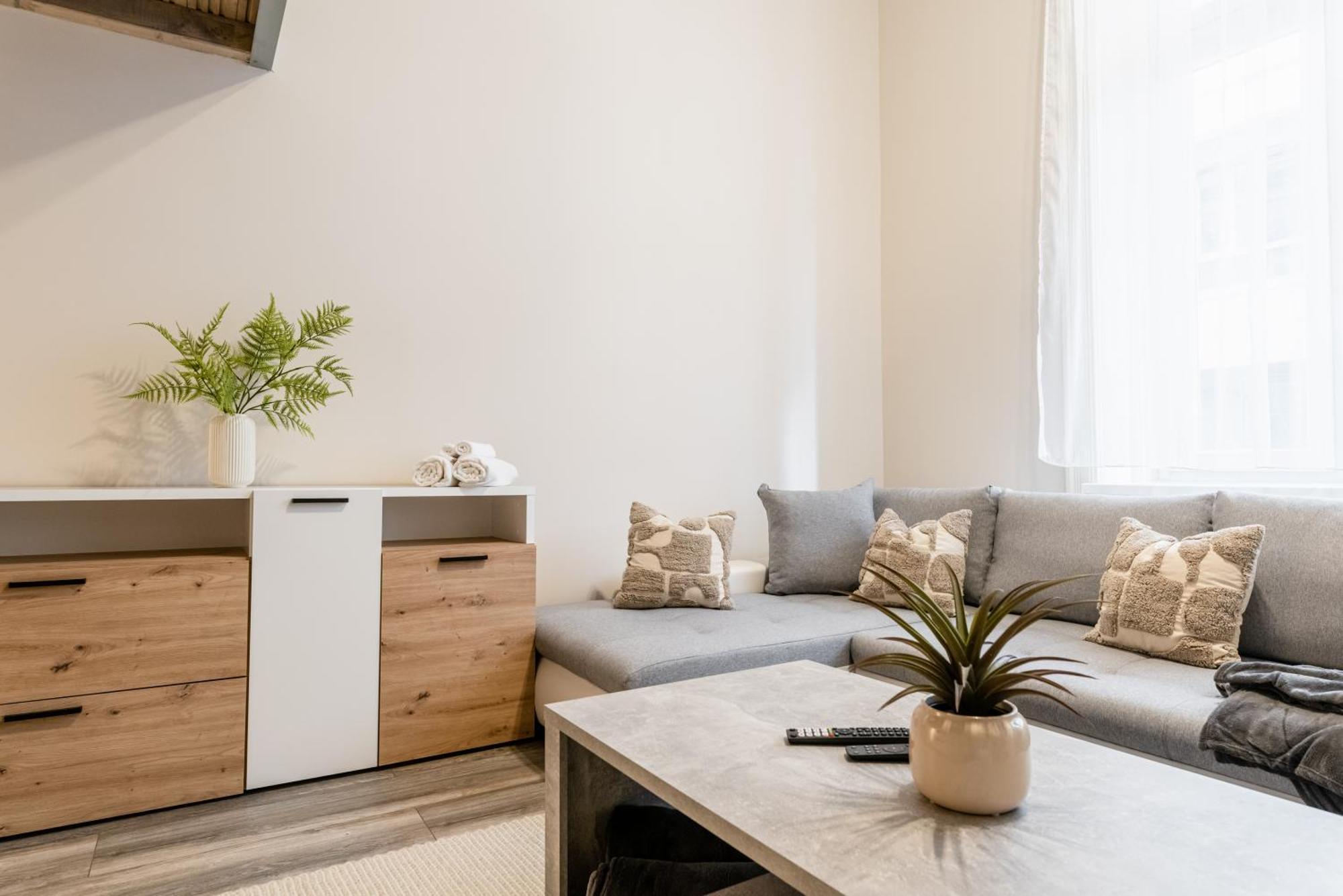 Apartment Danube Dream