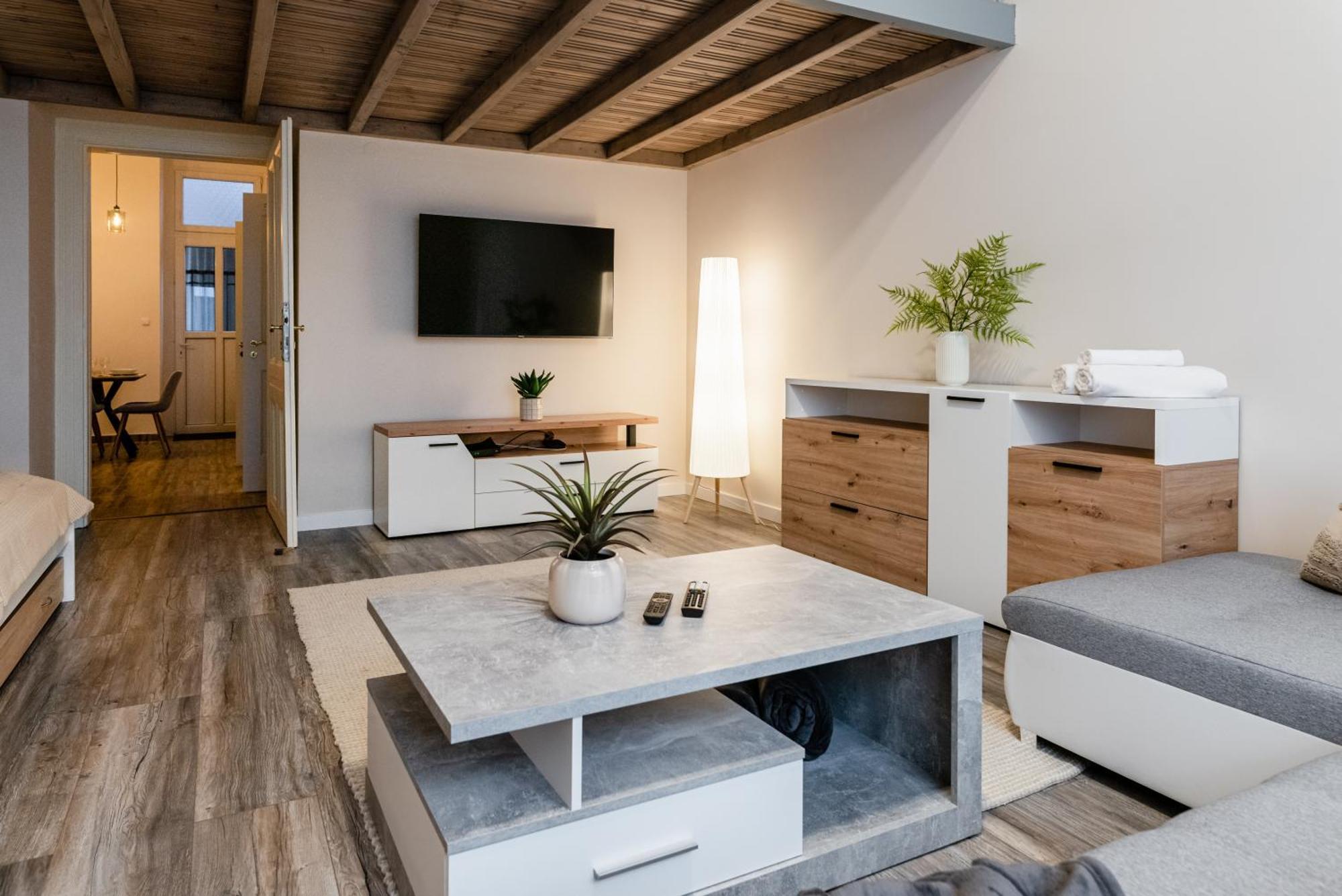 Apartment Danube Dream